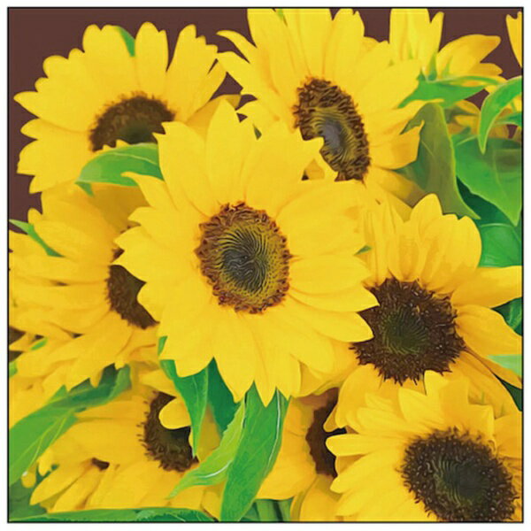 �ȥ졼�ɡ�TRADE sign city �����Х� Plant �ҥޥ�� S30 No.43929 �ڥ᡼����ľ�����������Բġ����ֻ��ꡦ�����Բġ�