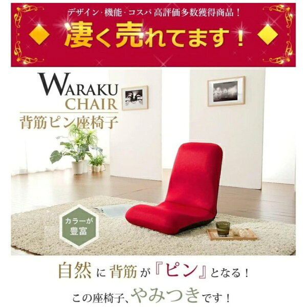 セルタン｜Cellutane 腰楽座椅子 和楽チェア Mサイズ メッシュブラック