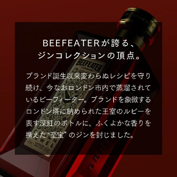 ジン ボンベイ ドライジン 700ml 40度 スピリッツ イギリス　ギフト プレゼント(5010677710480)