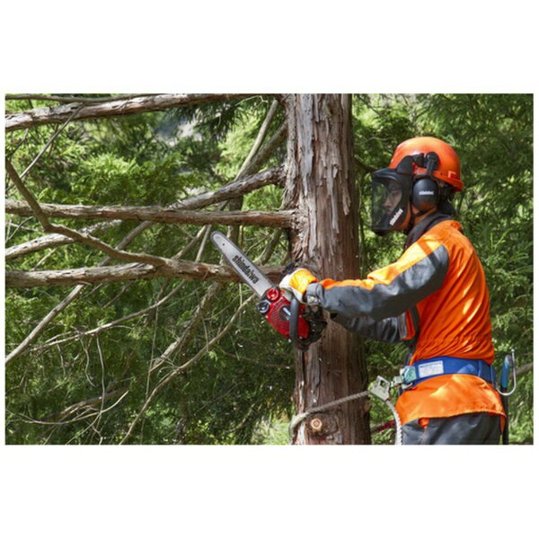 ��ޤӤ���YAMABIKO �������� ���󥸥�����󥽡� �ȥåץϥ�ɥ륽�� �ڥ᡼����ľ�����������Բġ����ֻ��ꡦ�����Բġ�