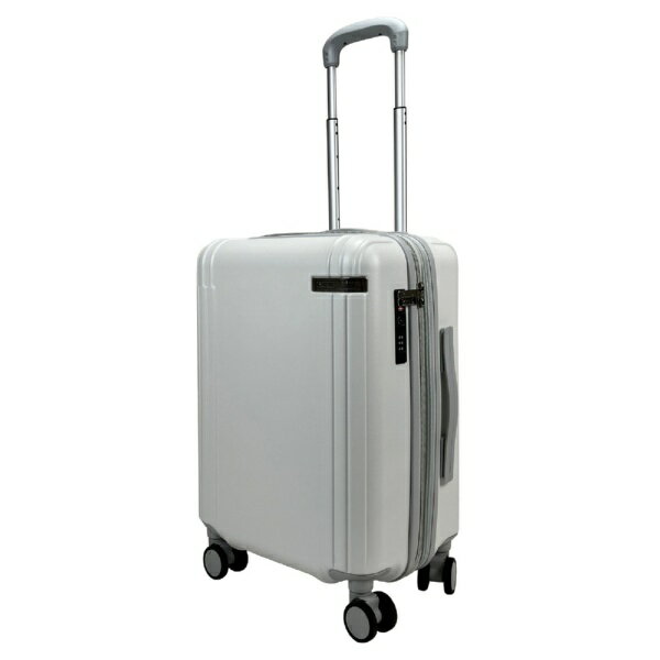ACE｜エース DESIGNED BY ACE IN JAPAN キャスターストッパー付スーツケース 機内持ち込みサイズ ミストホワイト ACE-549206 [TSAロック搭載]
