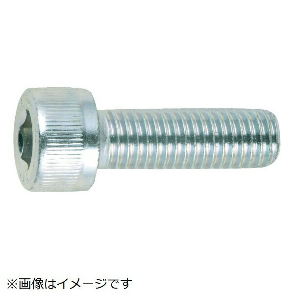 樂天商城 - コノエ｜KONOE 六角穴付ボルト 三価白M6×10（500本入り）　CSW0610《※画像はイメージです。実際の商品とは異なります》
