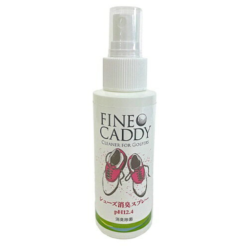 եͥǥ 塼ýץ졼[100mL] FINE-Shoes
