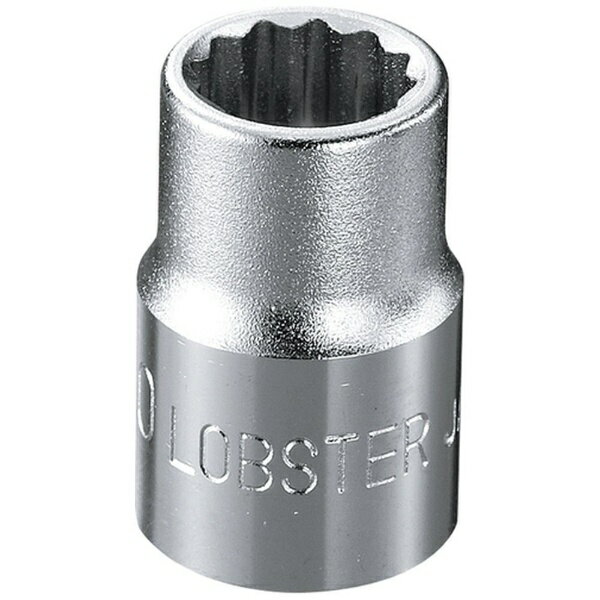 ロブテックス｜Lobtex ソケット　12角　10.0mm　差込角9.5mm　LM310