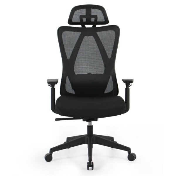 FlexiSpot｜フレキシ スポット オフィスチェア [W725xD675xH1145〜1295mm] C5 ブラック C5B-Foam-JA 【メーカー直送・代金引換不可・時間指定・返品不可】