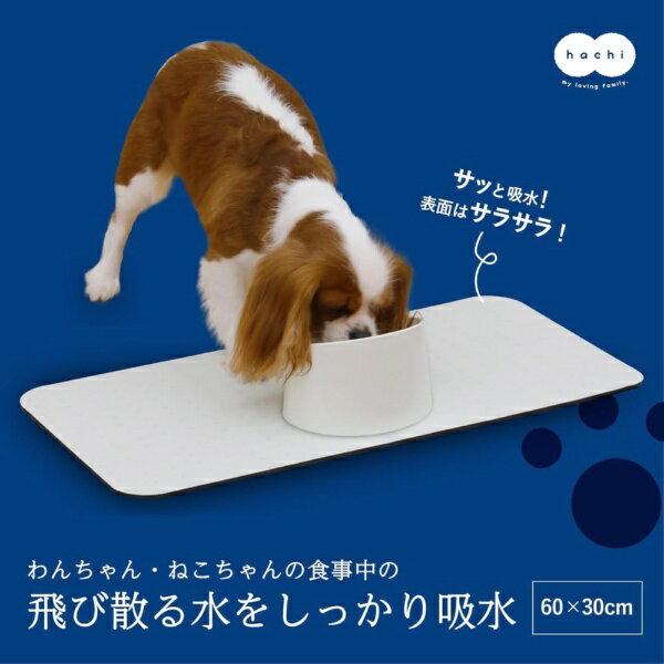 CB Japan｜シービージャパン 吸水ソフトランチョンマット　60×30cm　スクラッチ グレー 2