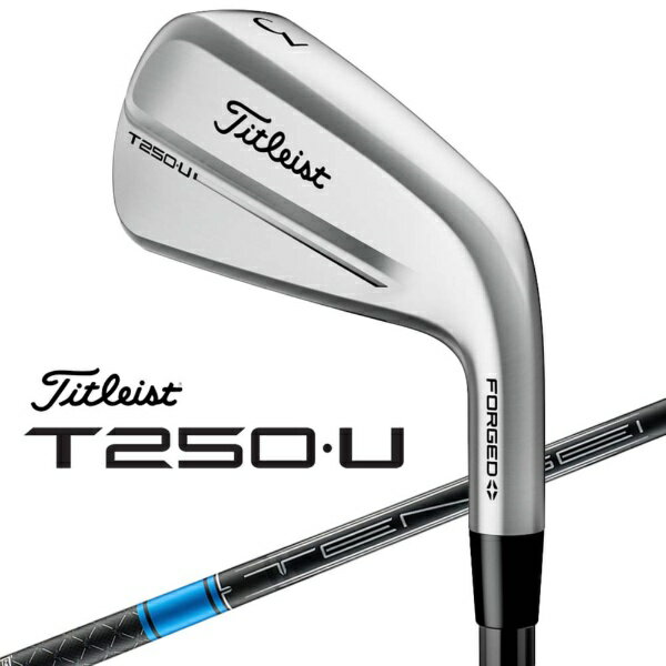 タイトリスト｜Titleist ユーティリティアイアン T250・U S4J 564RGS4J [♯4 /22° /TENSEI 1K BLUE HY 65 /S /メンズ /右利き用]
