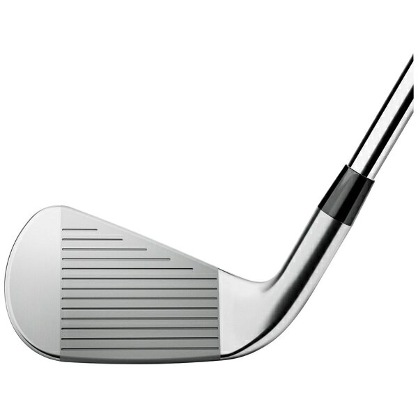 タイトリスト｜Titleist アイアン 6本セット #6〜9、PW、W T350 S6WJ 563RGS6WJ [M...