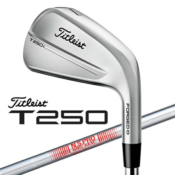 【エントリーで最大全額ポイント還元|11/27迄】 タイトリスト|Titleist アイアン 6本セット #5〜9、PW T250 561RSS5PJ [N.S...