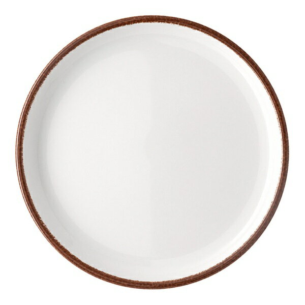 ローゼンタール｜Rosenthal RTプロフィEA405402-10857 アースプレート17cm ＜RLCW401＞