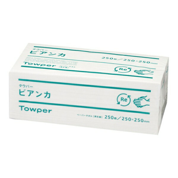 東海加工紙 タウパー　ビアンカ　L　（1ケース12束入） ＜KTO8201＞