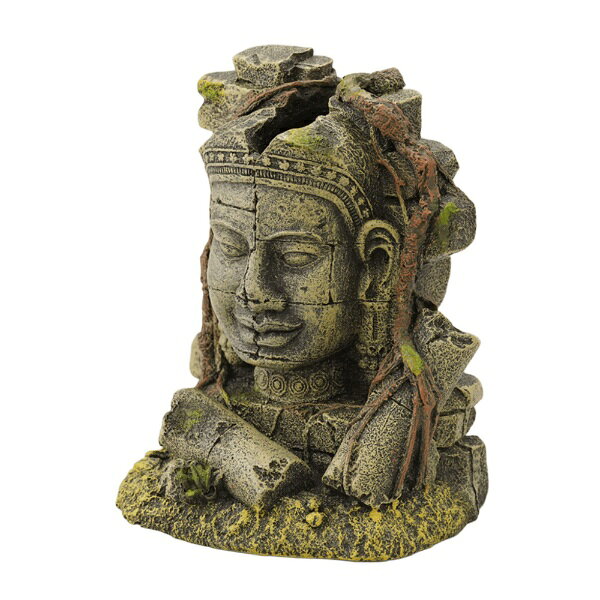 ~29 cm - ペットライブラリー｜PET LIBRARY aquaneru　アクアリウムオーナメント　古代遺跡