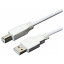 ʥХ䥷Nakabayashi 5m USB2.0֥AۢΡBۡUSBB50WHrb_ cable_cpn