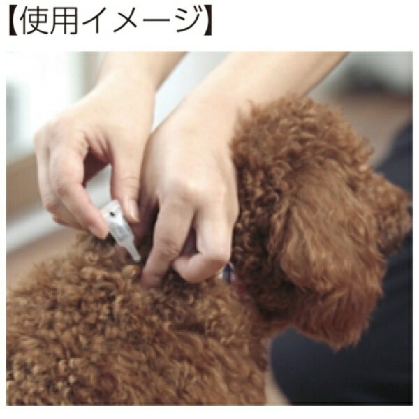 ���������ڥåȡ�earth pet ���ѥ���åȥ���ǭ��1������0��8g