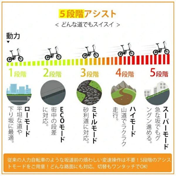 ERWAY｜イーアールウェイ 折りたたみ電動アシスト自転車 ERWAY A01 Lite グレー [1...