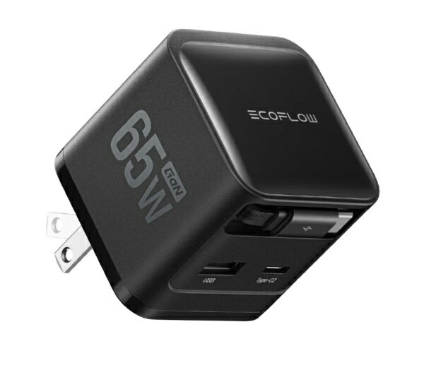 EFA-65WCHARGER2-B-JP [�u���b�N]