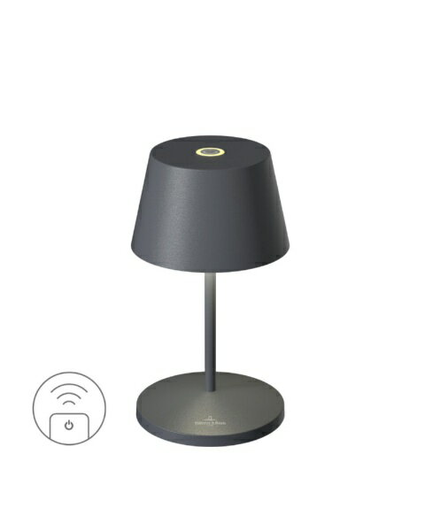 Standing Lights - ビレロイアンドボッホ｜Villeroy&Boch SEOUL ソウル テーブルランプ Villeroy & Boch ビレロイボッホ アントラシート 97201 [LED]