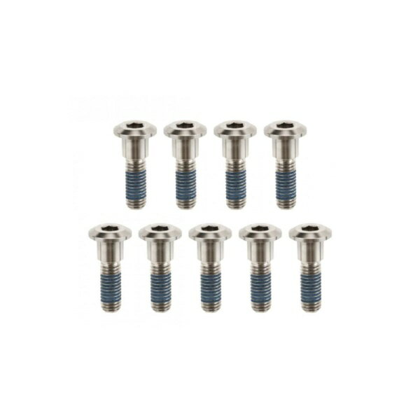 モートーン｜MOTONE CUSTOMS ブレーキローターボルト チタン シルバー T100 (17-25) SpeedTwin900 (16-24) Scrambler900 (17-25) SHN005