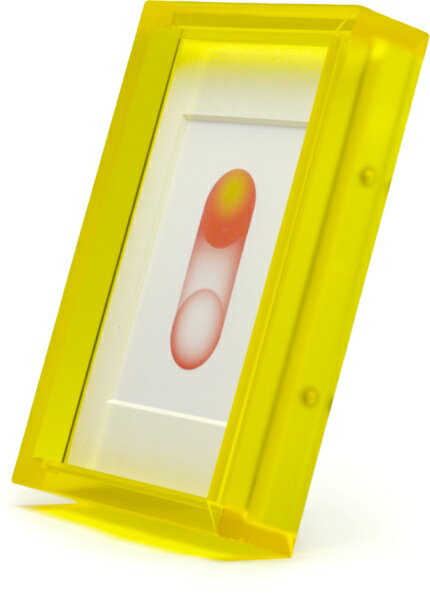 THRU．｜スルー THRU.HEAVY 4x6 YELLOW