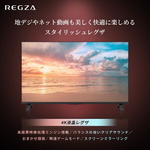 REGZA｜レグザ 液晶テレビ REGZA(レグザ) 55E350R [55V型 /Bluetooth対応 /4K対応 ...