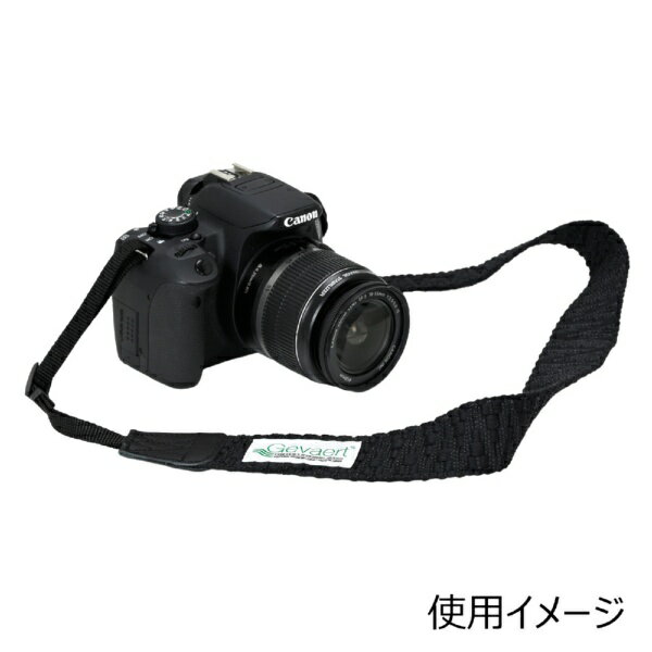 ETSUMI�å��ĥ� Gevaert ����饹�ȥ�å� GRS�ꥵ�����븶������ �ʥ����륷�㥮�� �֥�å� GV-017