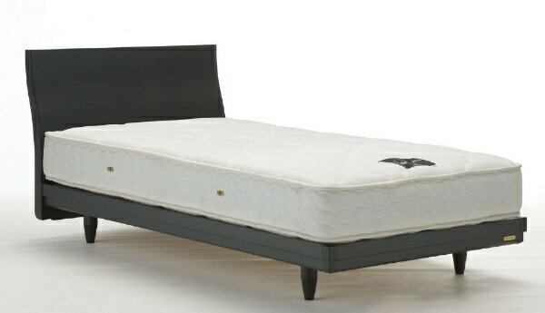 FRANCEBED|フランスベッド 【フレームのみ】収納なし STB-04[レッグ](ダブルサイズ/ブラック) フランスベッド【キャンセル・返品不可】 【代金引換配送不可】 [2]