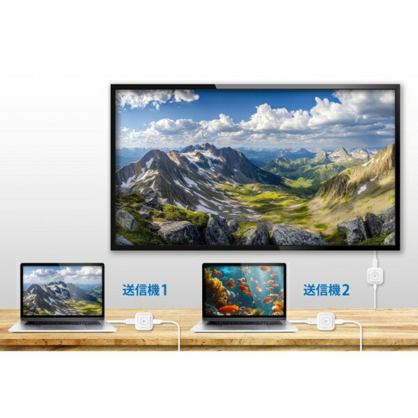 PRINCETON�åץ�󥹥ȥ� �̥磻��쥹HDMI��������(USB-C��x2) SP Cast Pocket Mini (�磻��쥹USB-C to HDMI) �ۥ磻�� SC-POCKETMINI-C1SET