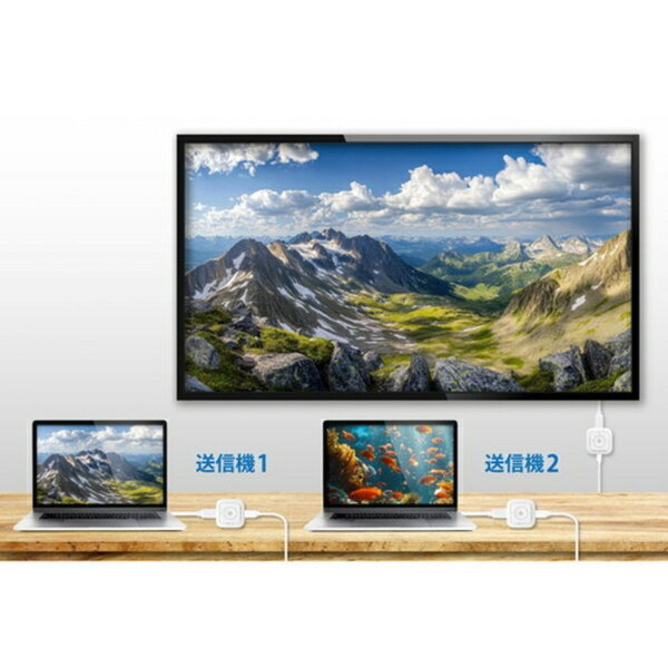 PRINCETON�åץ�󥹥ȥ� �̥磻��쥹HDMI��������(HDMI��x2) SP Cast Pocket Mini (�磻��쥹HDMI to HDMI) �ۥ磻�� SC-POCKETMINI-H1SET