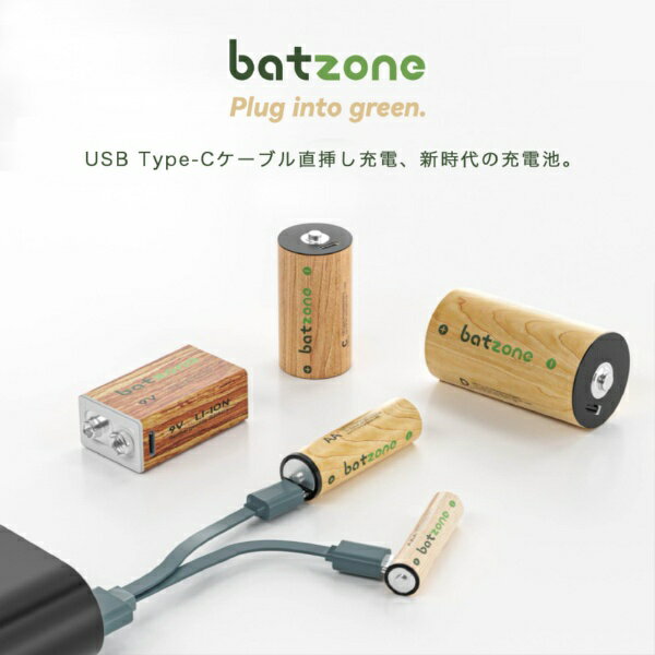 batzone�åХåȥ����� ������।�������� ñ4�� Type-C�����֥�ʤ���P2-LI3A-666C-2 ���� [2��]