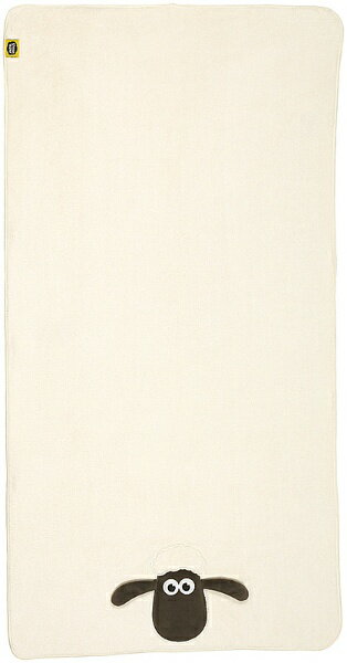 Skater�å��������� �ҤĤ��Υ��硼�󡡵ۿ�®���Х������� TODR1