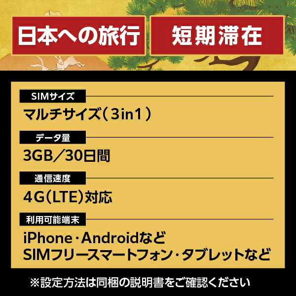 楽天ビック(ビックカメラ×楽天)のIIJ｜インターネットイニシアティブ 【免税クーポン付き】Japan Travel SIM for BIC SIM 3GB (3in1)｜アングル3