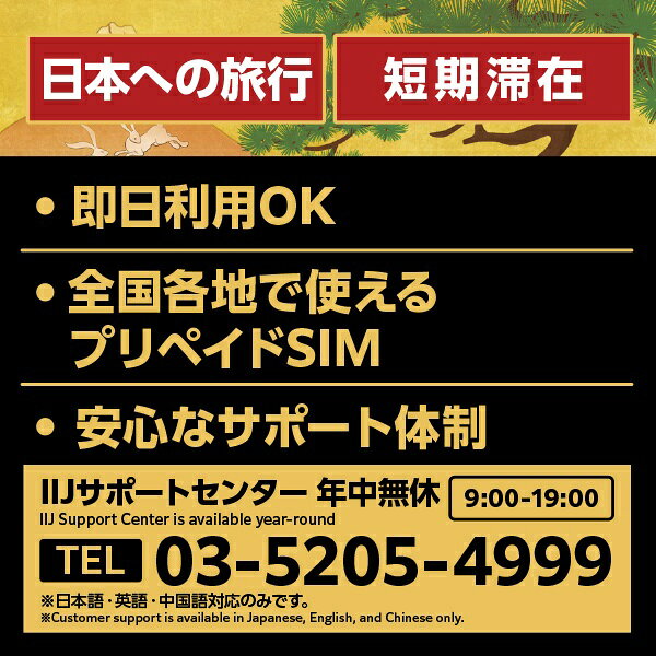 楽天ビック(ビックカメラ×楽天)のIIJ｜インターネットイニシアティブ 【免税クーポン付き】Japan Travel SIM for BIC SIM 35GB (3in1)｜アングル2