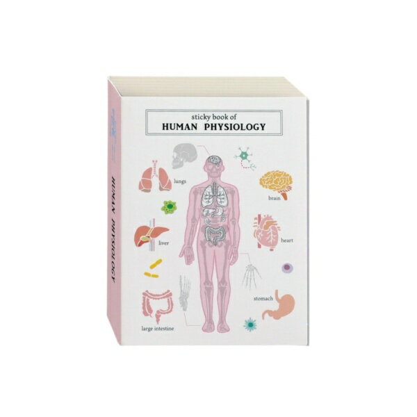 GREENFLASH STUDY HOLIC スティッキーブック 人類生物学 GreenFlash ST-316