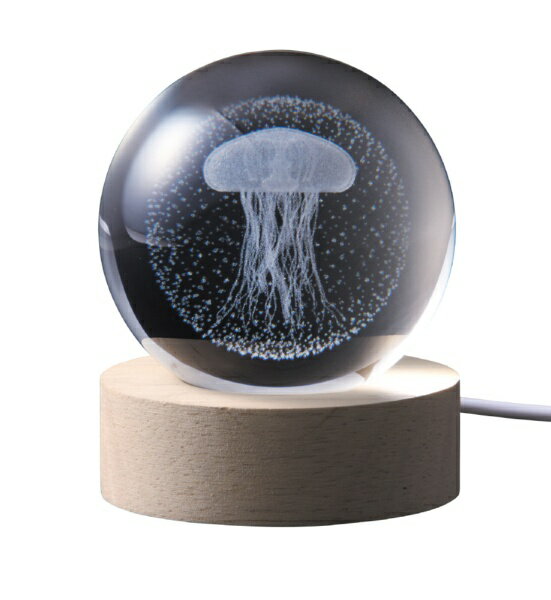 ����������ISHIGURO 3D���ꥹ����ܡ��� LED�饤�� ���饲 18042 [LED /�ŵ忧]