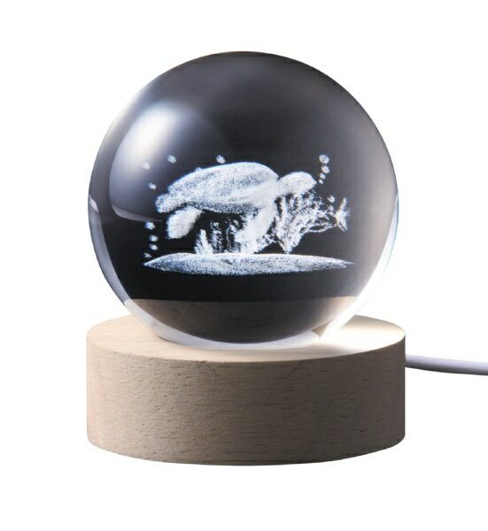 ����������ISHIGURO 3D���ꥹ����ܡ��� LED�饤�� ���ߥ��� 18043 [LED /�ŵ忧]