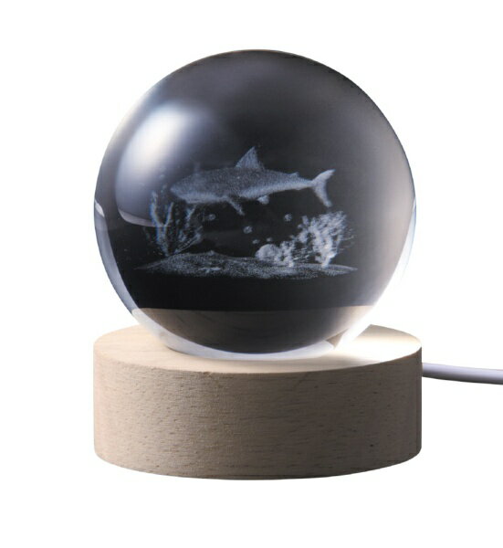 ����������ISHIGURO 3D���ꥹ����ܡ��� LED�饤�� ���� 18044 [LED /�ŵ忧]