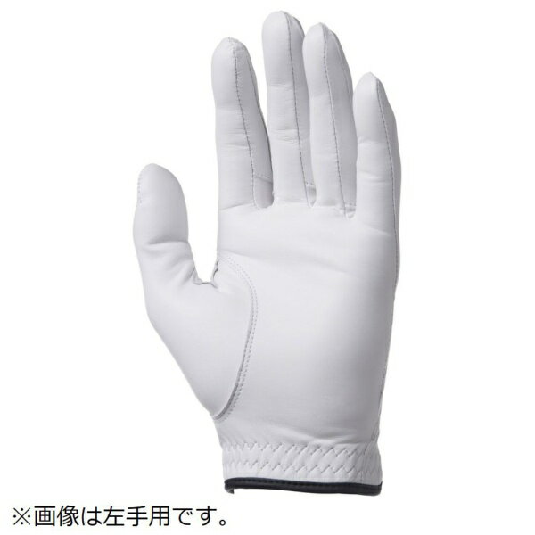 ピン｜PING GL-T2601 プレミアムレザーグローブ ホワイト 39004 [メンズ /右手着用(左打ち用) /21cm]