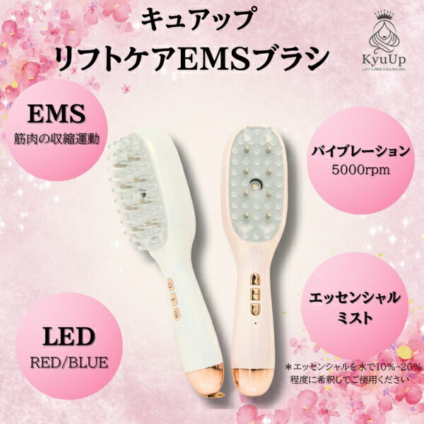 HUNTKEY｜ハントキー ミストリフトケアブラシ MHB-1-W [EMS美顔器 /国内・海外対応]