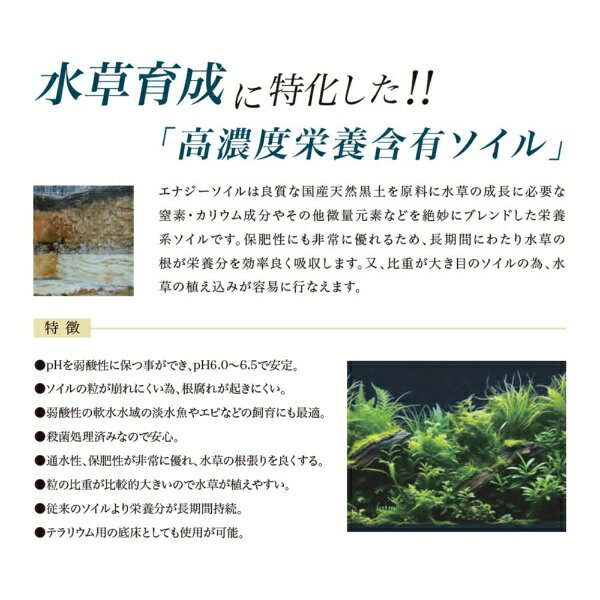 楽天ビック(ビックカメラ×楽天)のコトブキ｜KOTOBUKI コトブキ工芸 エナジーソイル ノーマルブラック 1．0L｜アングル2