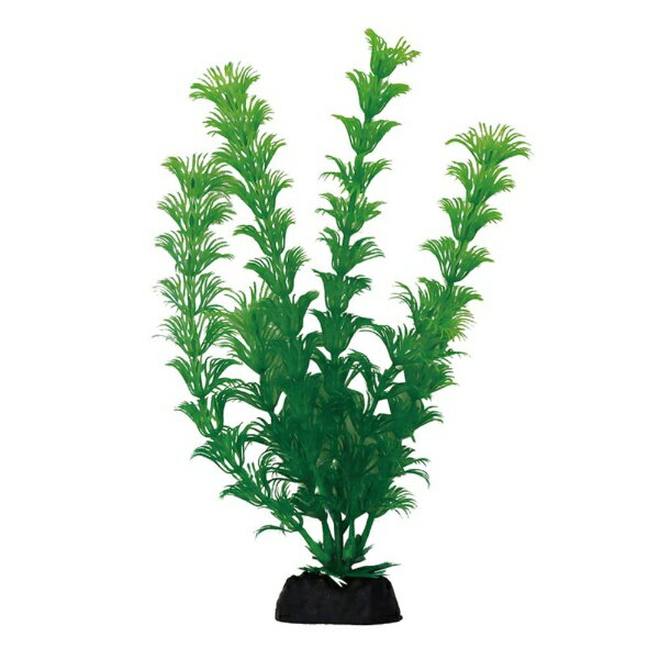 ~29 cm - コトブキ｜KOTOBUKI コトブキ工芸 PON−シングル キンギョモ