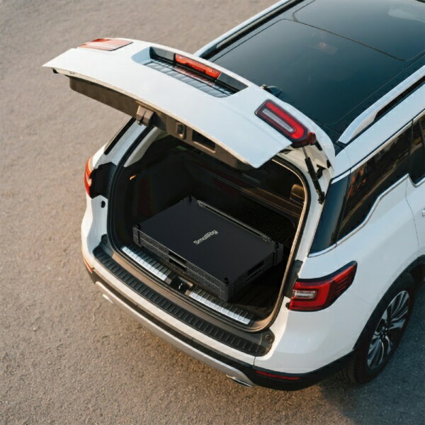 SmallRig�å��⡼��ꥰ 4573 36��������̥ӥǥ������饫���� SmallRig SR4573