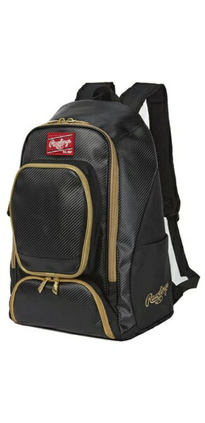 新型チーム対応バックパックカーボン調の合成皮革素材で濡れても水が浸み込みにくく、汚れをサッと拭き取れます。自立型の本体に、大開口のメインルームなので出し入れが楽にできます。チームカラーにマッチしたバックパックを揃えることが可能です。取り外し...