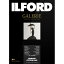 եɡILFORD ꡼ץ쥹ơ ࡼåȥ饰 310g/m2 A425ˡGALERIE Smooth Cotton Rag422374[422374꡼ࡼåȥ]