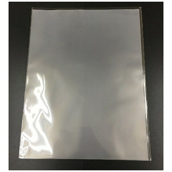 ホワイト写真用品｜WHITE PACKAGE SUPPLY フィルムパック 8X10（乳白シート入り・100枚入り） 3