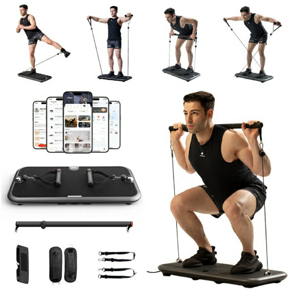 【エントリーで最大全額ポイント還元｜2/5まで】 CTJ｜シーティージェイ INNODIGYM インノディジム ホームジムマシン P1 Plus