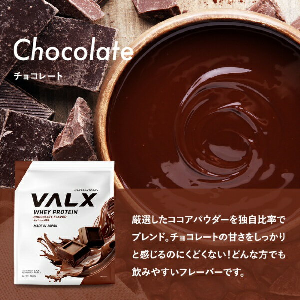 VALX｜バルクス VALXホエイプロテイン【420g】 チョコレート風味【パッケージデザ...