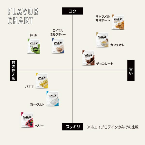 VALX｜バルクス VALXホエイプロテイン【420g】 チョコレート風味【パッケージデザ...