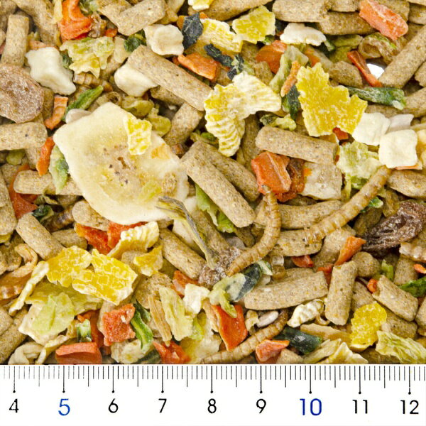 ナチュラルペットフーズ｜Natural Pet Foods フクロモモンガテイストプラス　380g