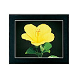 FUJICOLOR｜フジカラー マットパネルDX （全紙ノートリ［135］）　ブラック