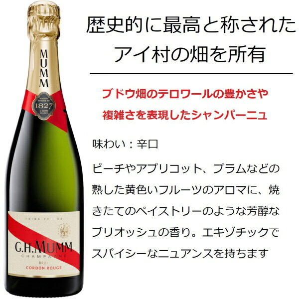 ワインセット マム&アヤラ&ランソン のシャンパーニュ飲み比べ 750ml 3本【ワインセット】 biccamera-15378352 楽天ビック(ビックカメラ×楽天) サンプル画像2